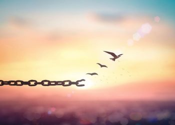 11. Is freedom of religion the will of God?