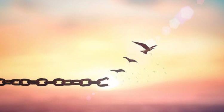 11. Is freedom of religion the will of God?