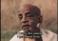 You Are Not this Body | Srila Prabhupada