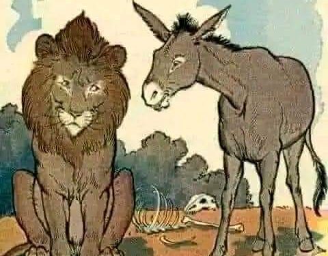 Don’t Argue With Donkeys | Life Lessons